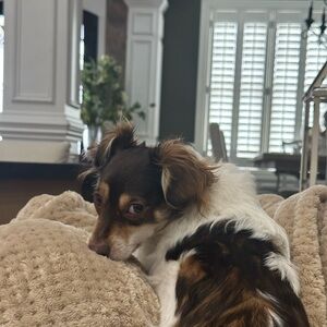 Meet your Posher, Sandi